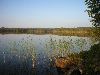 P1010018.jpg